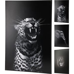 BILDE VEGG 3ASS 58X39CM 1/6