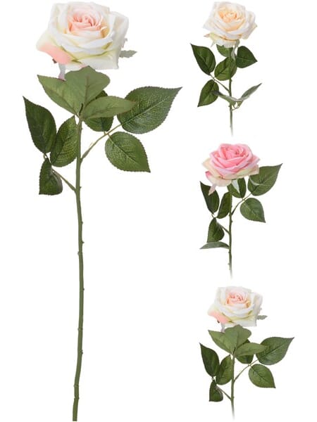 ROSE 60CM 3ASS 1/24/48