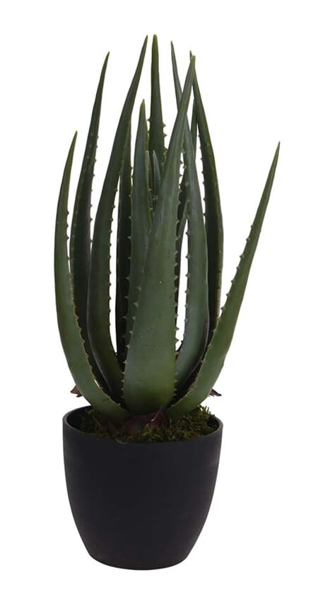 BLOMST I POTTE H-45CM 1/4