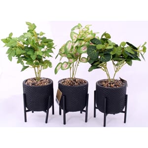 BLOMST I POTTE 3ASS 28X10CM 1/12