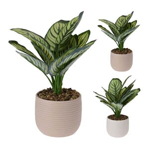 BLOMST I POTTE 26X12CM 2ASS 1/8