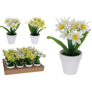 BLOMST DISPLAY 1/12/24