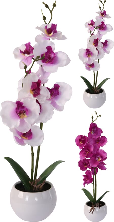 BLOMST ORKIDE 2ASS 39X11CM 1/12/24