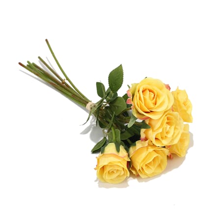 ROSER 6PK GULE 38X6CM 1/24