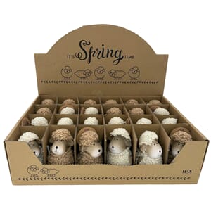 SAU TERACOTTA 8CM 2ASS 1/24/72