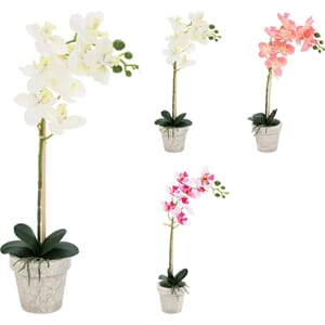 BLOMST ORKIDE 3ASS 1/12