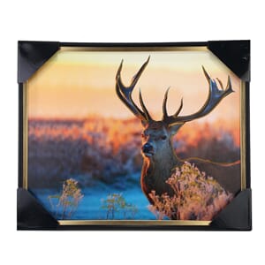 BILDE DEKOR 52X42X3CM 1/1