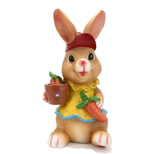 HAGEDYR 50CM RESIN 1/1