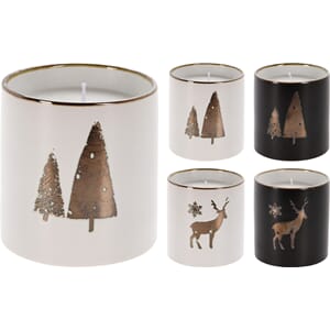 JUL LYS I STAKE 2ASS 1/12/48