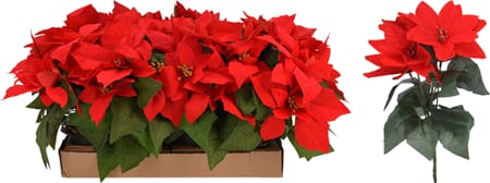 JUL BLOMST JULESTJERNE 25CM 1/12/24