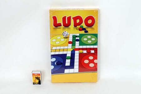 SPILL LUDO 1/12