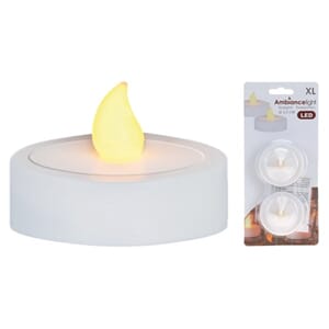 BO TELYS 2PK STOR 1/24