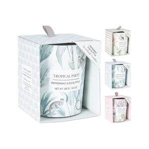 DUFTELYS 10X8CM 3ASS 1/12